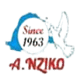 فانز الكاميروني